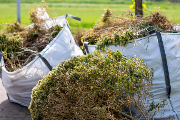Best Recycling Services for Junk  in Gloucester, MA